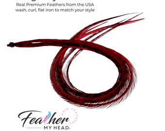 Feather Hair Extension Kit, 6 Real Feathers, Optional DIY Kit, Pick Length Short to 16" Long, (6) Burgundy