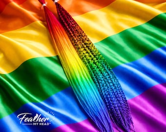 Hair Feathers Rainbow: Red, Orange, Yellow, Green, Blue, Purple Extensions - Love Is Love Set