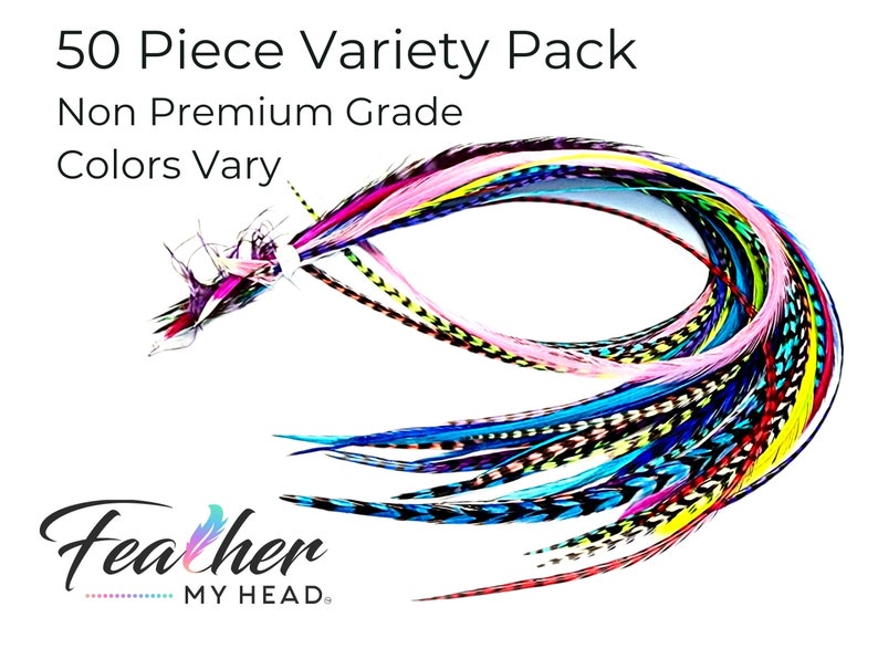 May include: A pack of 50 colorful feathers, non-premium grade, with colors varying. The feathers are arranged in a circle, with the ends of the feathers pointing towards the center. The text "Feather My Head" is visible at the bottom of the image.