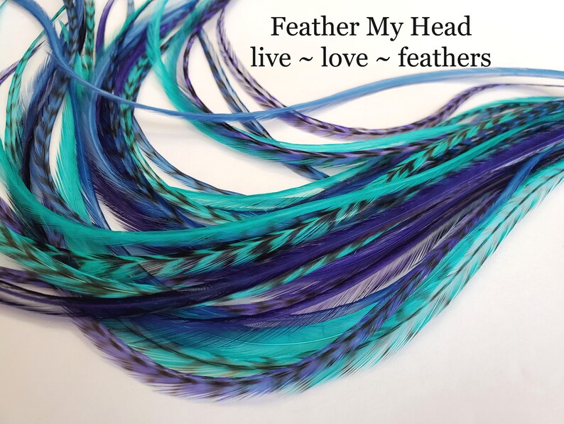 6 Real Feathers, Do It Yourself Kit  With Beads, Pulling Wire and Instructions - Pick Your Length 7