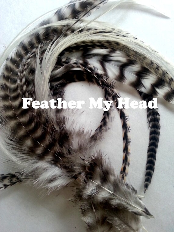 Black and white feather hair extensions hotsell
