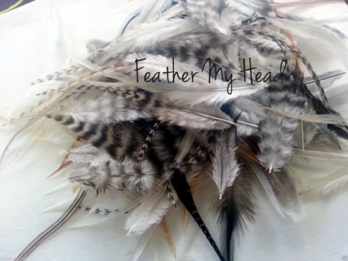 Plumes De Coq Naturelles Pour Artisanat - Création Bijoux, Attrape-rêves - Lot A