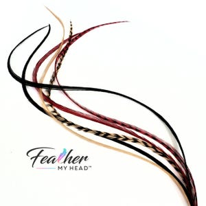 Feather Hair Extension Kit,  6 Real Feathers, Pick Your Length Short to Mega Long 16 In Hair Feathers, Optional DIY Kit, Sedona Mix