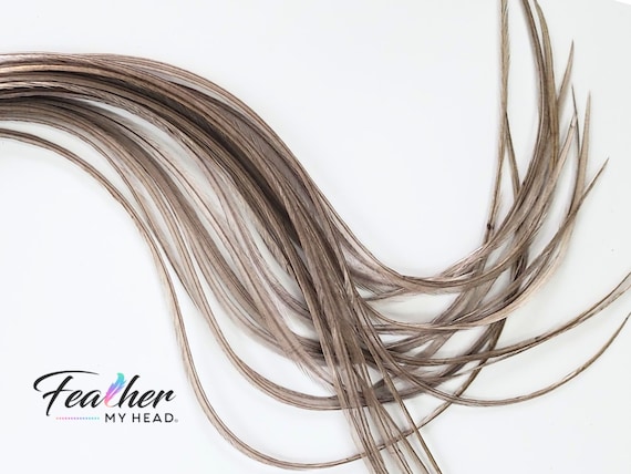 Light Gray Dun Hair Feather Extensions, Pick Your Length up to 16