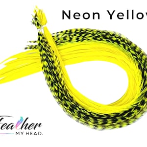 May include: A bundle of neon yellow feathers with black tips. The feathers are arranged in a circle, with the tips of the feathers pointing inwards. The text "Neon Yellow" is printed above the feathers.