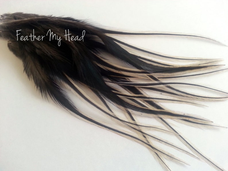 16 Feather Hair Extensions Natural BADGER Wide Feather Etsy