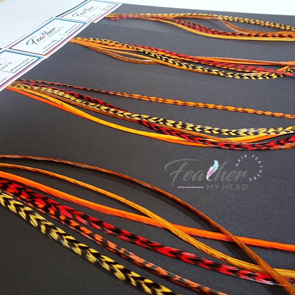 Feather Hair Extension Kit 6 Real Hair Feathers Pick Your Etsy
