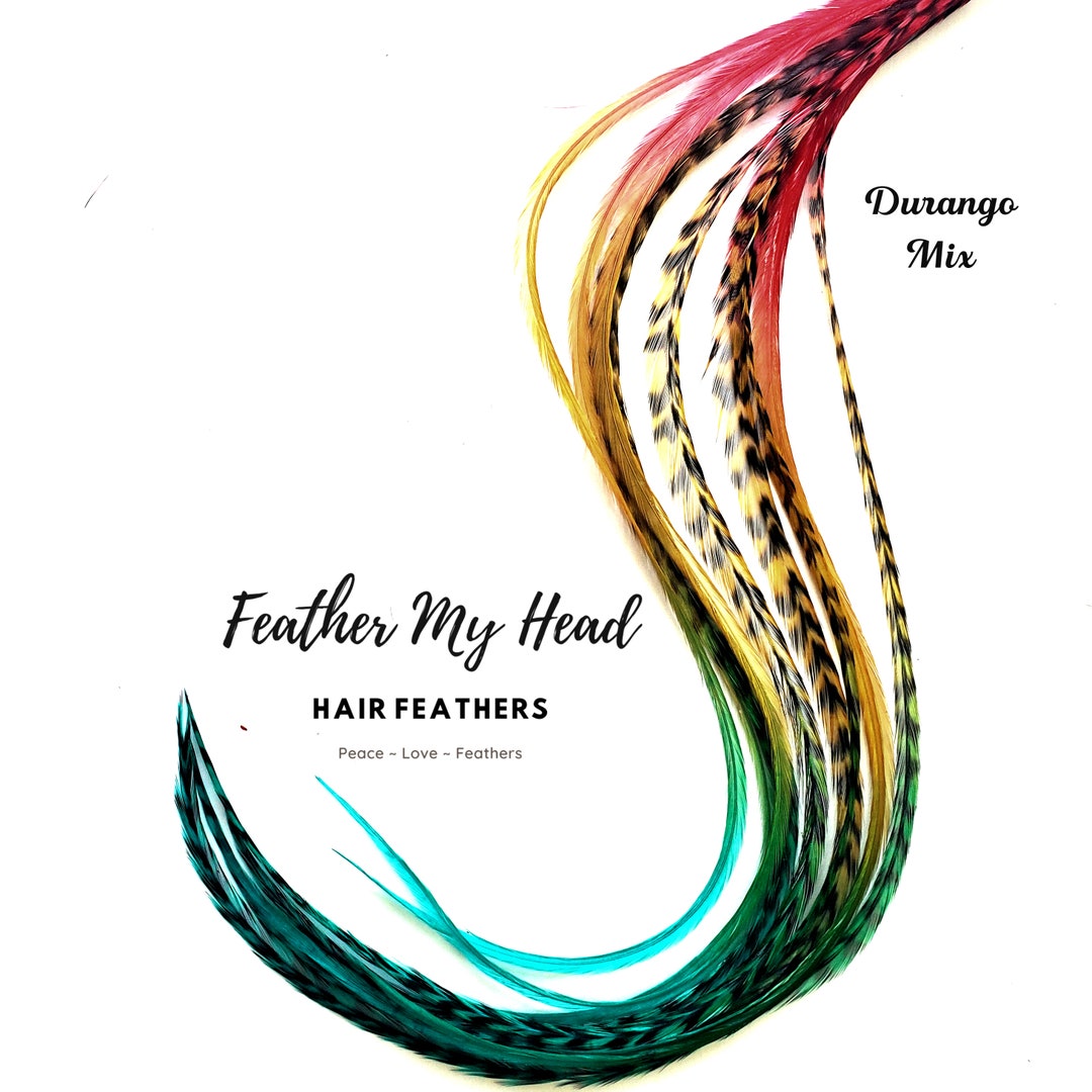 Feather Hair Extension, 6 Multi Colored Tie Dye optional DIY Kit Pick