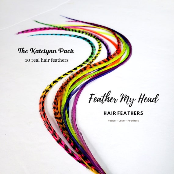 Feather Hair Extension Kit, 6 Real Feathers, Pick Your Length Short to Mega  Long 16 in Hair Feathers, Optional DIY Kit, Sedona Mix 