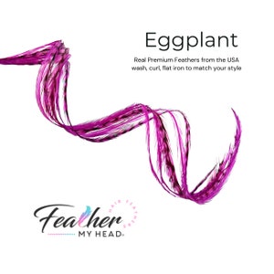 Eggplant Purple Hair Feather Extensions. (1) Feather, Long Lengths and Hair Feather Kit Available