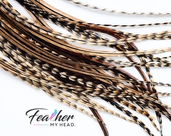 Hair Feathers- RARE hard to find - Cree Rooster Feathers - Real Rooster Feathers - Brown, Black, Barred - Long Lengths up to 16 Inches