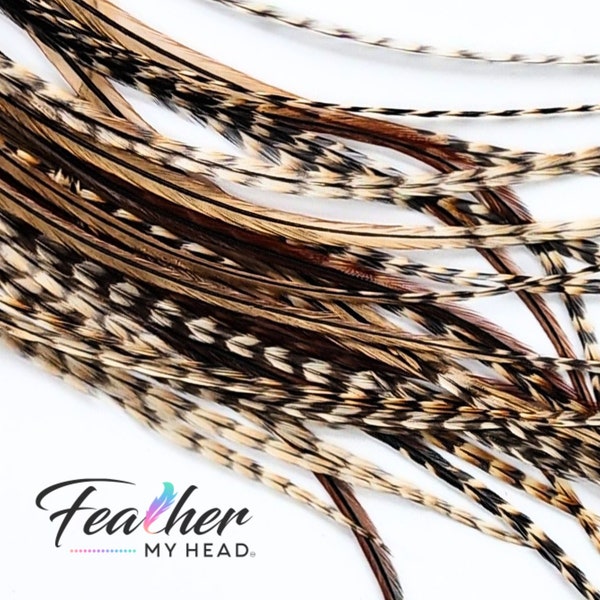 Hair Feathers- RARE hard to find - Cree Rooster Feathers - Real Rooster Feathers - Brown, Black, Barred - Long Lengths up to 16 Inches