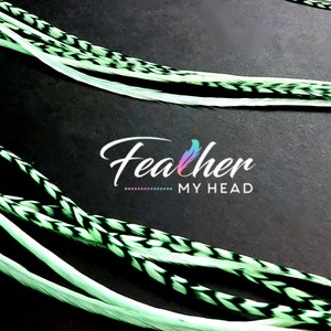 K&ouml;nnte beinhalten: Gr&uuml;n-schwarze Federhaarverl&auml;ngerungen. Die Federn sind wei&szlig; mit schwarzen Streifen und einem gr&uuml;nen Farbton. Der Text "Feather My Head" ist im Bild sichtbar.