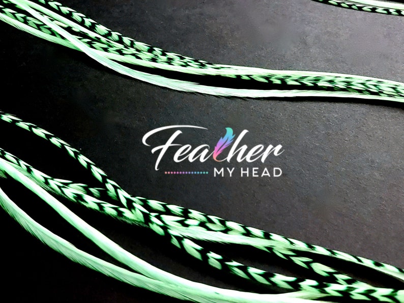 K&ouml;nnte beinhalten: Gr&uuml;n-schwarze Federhaarverl&auml;ngerungen. Die Federn sind wei&szlig; mit schwarzen Streifen und einem gr&uuml;nen Farbton. Der Text "Feather My Head" ist im Bild sichtbar.