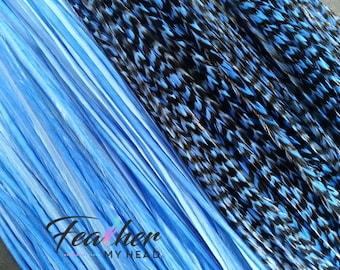 Light Blue Hair Feather Extensions. (1) Single Feather, Long Lengths Over 16 Inches and Hair Feather Kit Available