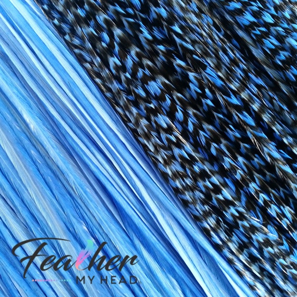 Light Blue Hair Feather Extensions. (1) Single Feather, Long Lengths Over 16 Inches and Hair Feather Kit Available