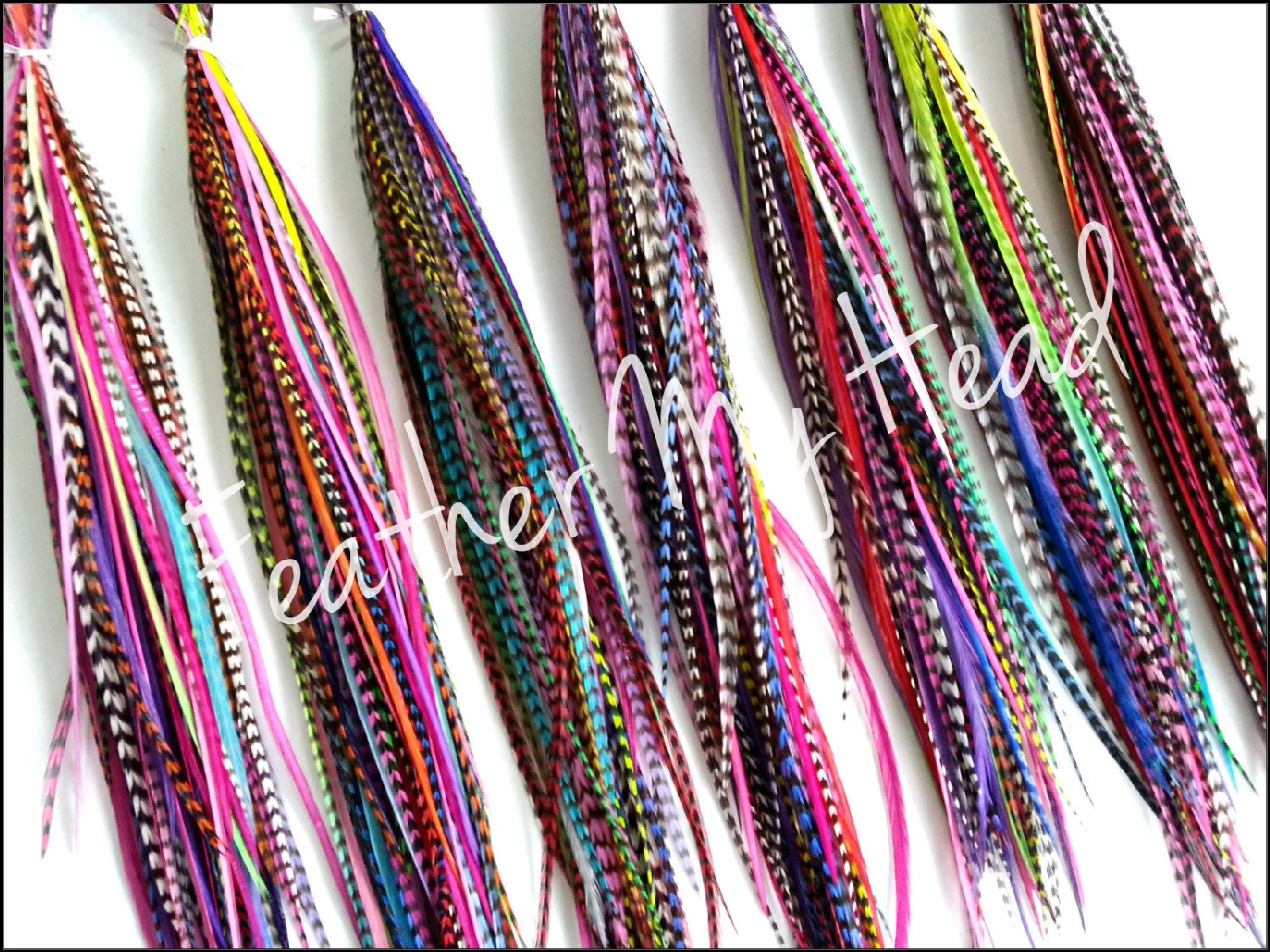 Feather Extensions Variety Pack: 25 Pc Long Colorful Rooster Feathers 7 ...