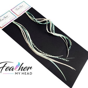 May include: A set of six teal and white feathers on a black background. The feathers are arranged in a fan shape and are about 12 inches long. The feathers are labeled "Feather My Head" on the packaging.