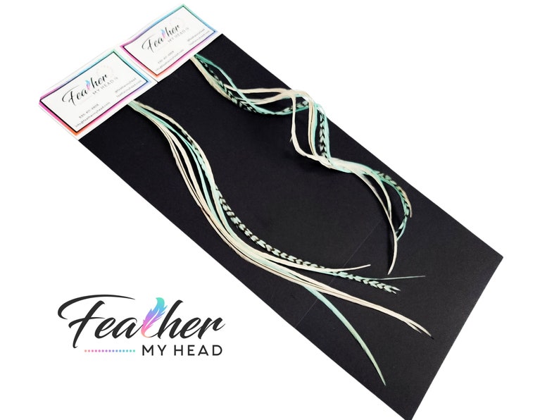 May include: A set of six teal and white feathers on a black background. The feathers are arranged in a fan shape and are about 12 inches long. The feathers are labeled "Feather My Head" on the packaging.