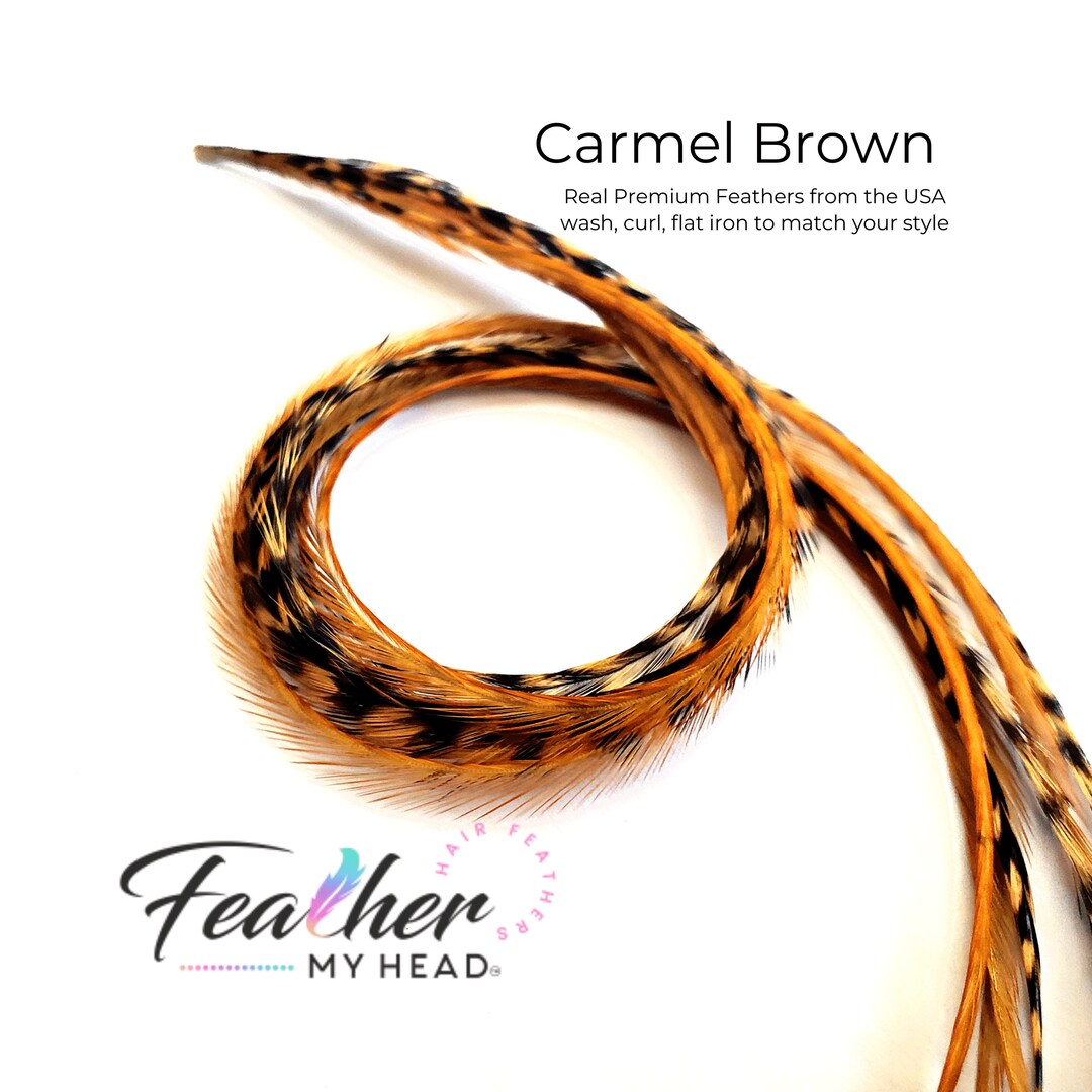 Carmel Brown Hair Feather Extensions. 1 Feather, Long Lengths and Hair
