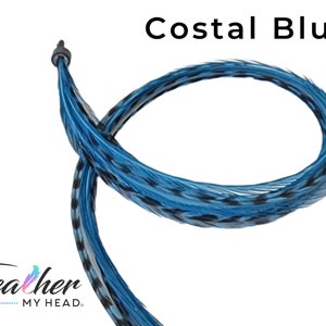 Costal Blue Hair Feather Extensions. (1) Feather, Long Lengths and Hair Feather Kit Available