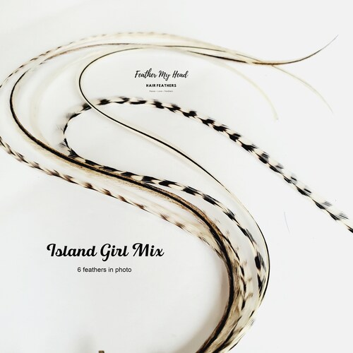 Feather Hair Extension Kit 6 Real Feathers Pick Your Length Etsy