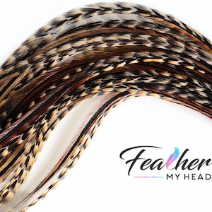 Premium Natural Cree Rooster Feathers - Rare Brown and Black Striped Pattern - 16+ inch Hair Extensions - USA-Sourced