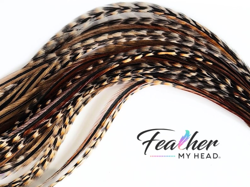 Premium Natural Cree Rooster Feathers - Rare Brown and Black Striped Pattern - 16+ inch Hair Extensions - USA-Sourced