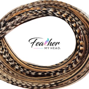 Premium Natural Cree Rooster Feathers - Rare Brown and Black Striped Pattern - 16+ inch Hair Extensions - USA-Sourced