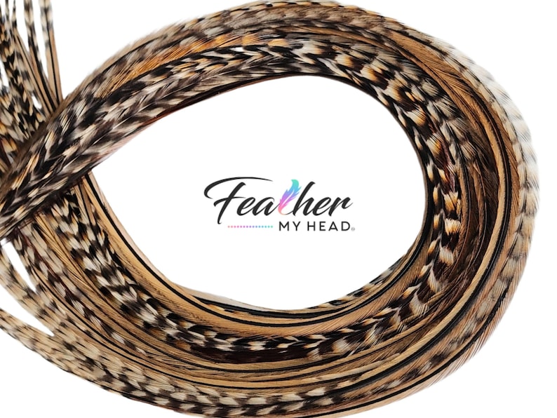 Premium Natural Cree Rooster Feathers - Rare Brown and Black Striped Pattern - 16+ inch Hair Extensions - USA-Sourced