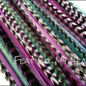 Puede incluir: Una colección de plumas coloridas en tonos de morado, turquesa y blanco. Las plumas están dispuestas en una fila y tienen un aspecto natural y texturizado.