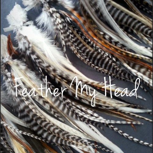 Mixed Natural Feather Extensions Real Hair Feathers Feather Etsy