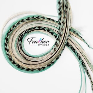 May include: A bundle of teal, white, and black feathers with a black and white chevron pattern. The feathers are arranged in a circle with the text "Feather My Head" in the center.