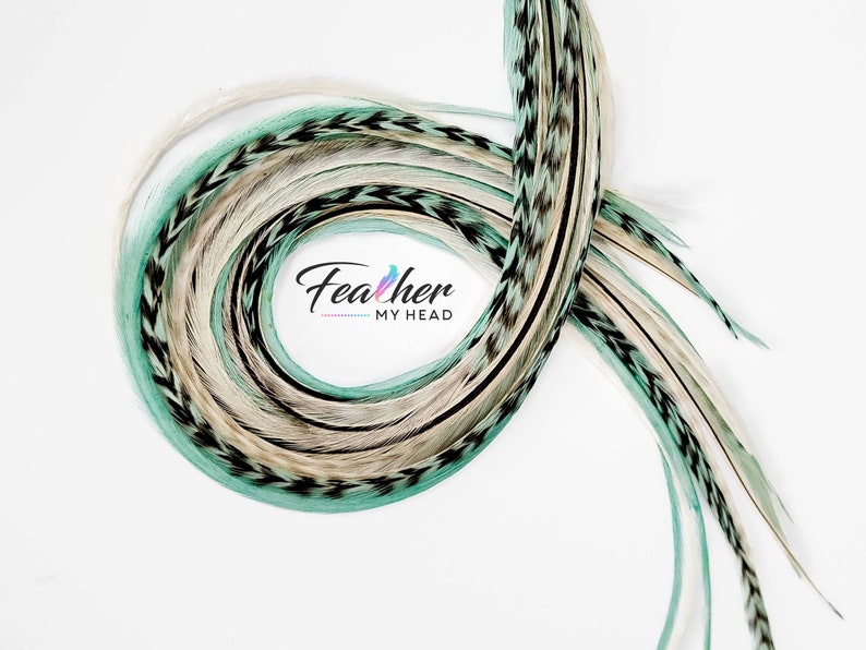 May include: A bundle of teal, white, and black feathers with a black and white chevron pattern. The feathers are arranged in a circle with the text "Feather My Head" in the center.