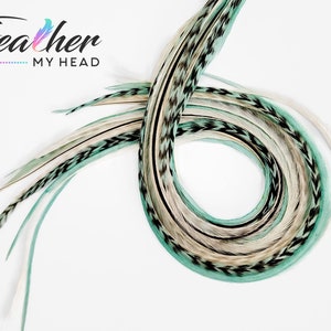 May include: A bundle of teal, white, and black feathers with a chevron pattern. The feathers are arranged in a circle shape.