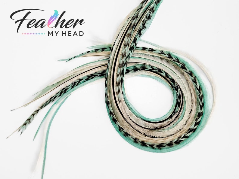 May include: A bundle of teal, white, and black feathers with a chevron pattern. The feathers are arranged in a circle shape.