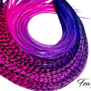 Feather Hair Extension Kit, 6 Real Feathers - Multiple Colors On One Feather - 6 Feathers with Optional Hair Feather Kit - Summer Berry