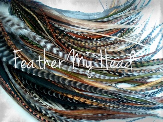 16 Wide Feather Hair Extensions Medium Long 7 12 Browns Greens Golds  Optional Do It Yourself DIY Kit Wild Thing 