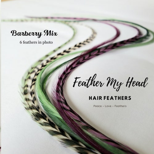 Hair Feather Extensions 10 Loose Feathers Optional DIY Kit Etsy