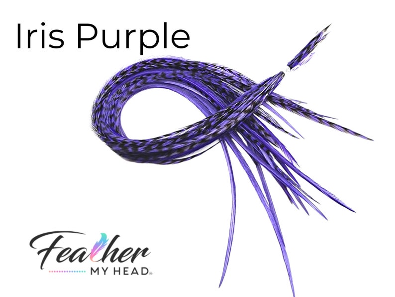 Purple Iris Hair Feather Extensions. 6 Hair Feathers, Long Lengths and Hair Feather Kit Available image 6