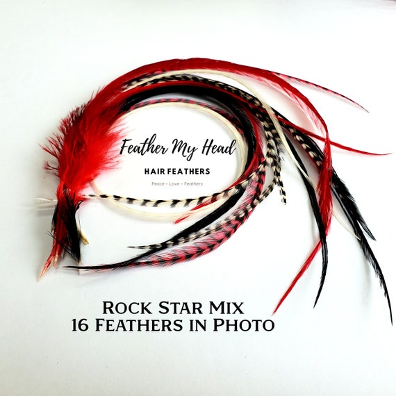 Black Solid Dyed Hair Feather Extensions. Long Lengths and Hair Feather Kit  Available.