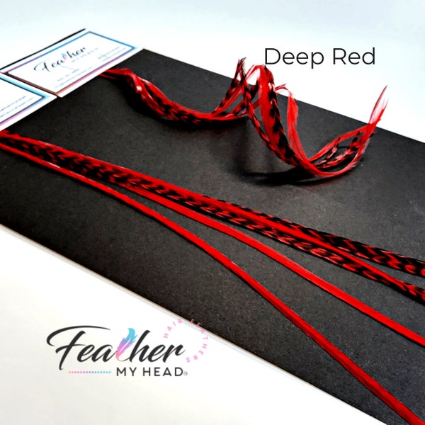 Deep Red Hair Feather Extension in long lengths up to 16" Long. Feather Kit Available. (1) Individual Single Feather