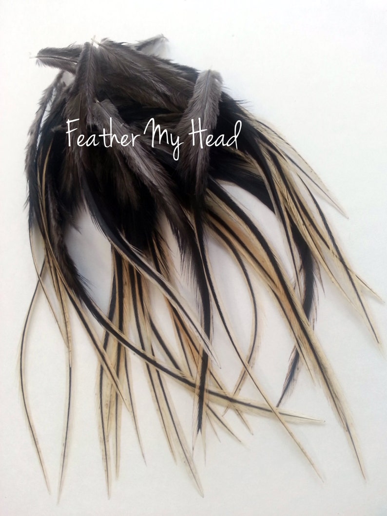 16 Feather Hair Extensions Natural BADGER Wide Feather Etsy
