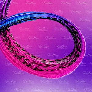 Summer Berry rainbow feather hair extensions close up on purple background