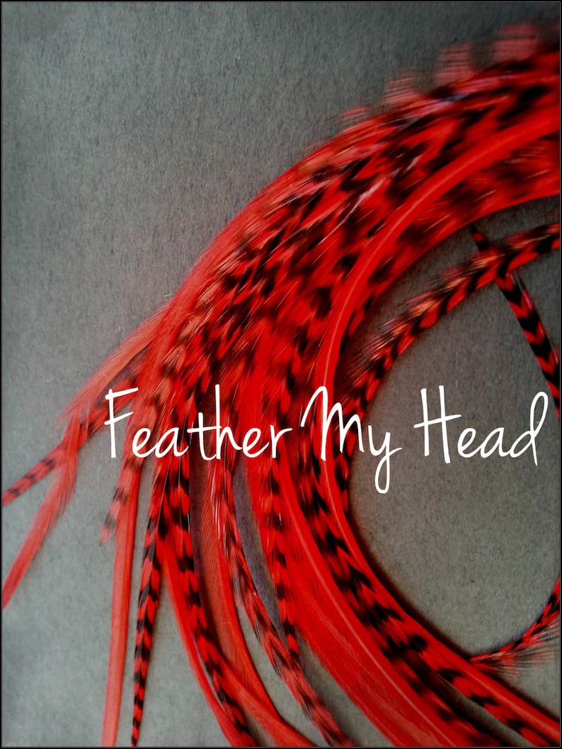 Feather Hair Extensions Crazy Extra Long 14 36cm Etsy