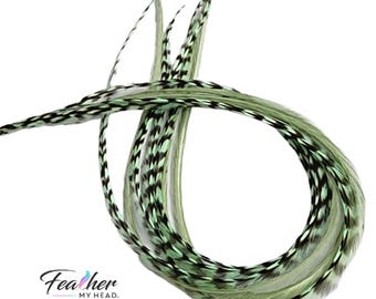 Extensiones de cabello de plumas de gallo auténticas, color verde salvia, 6 piezas, extralargas y resistentes al calor.