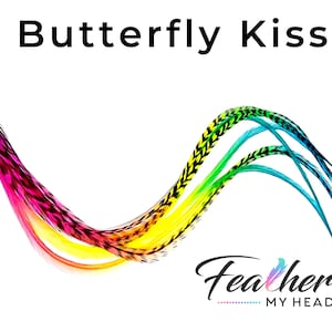 Rainbow Feather Hair Extension Kit, 1 Real Feathers in Lengths up to 16 Plus Inches Long , Butterfly Kisses Mix