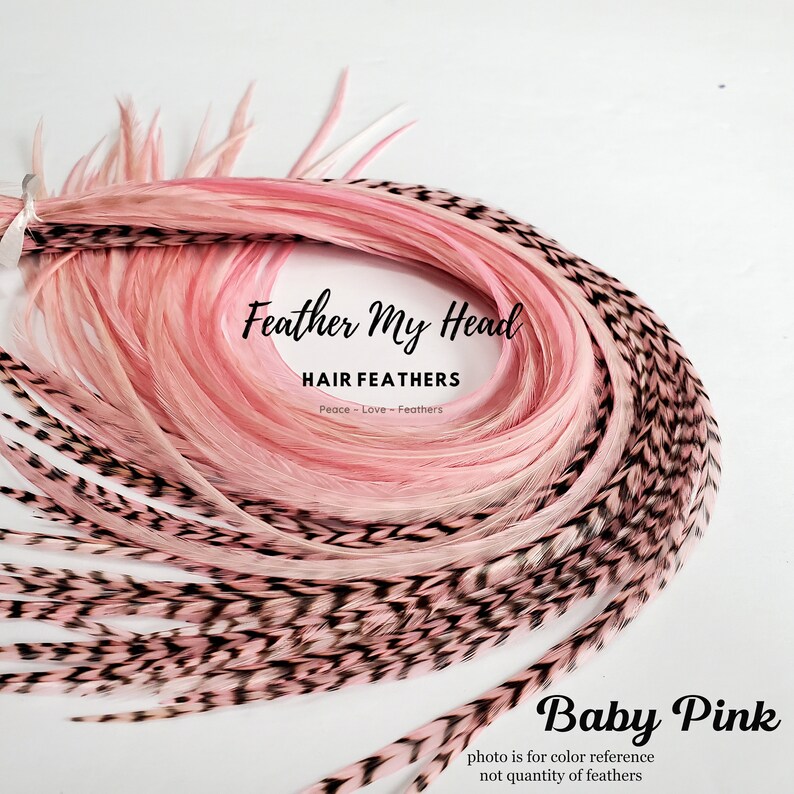 Feather Hair Extension Kit 6 Real Feathers With Optional Etsy
