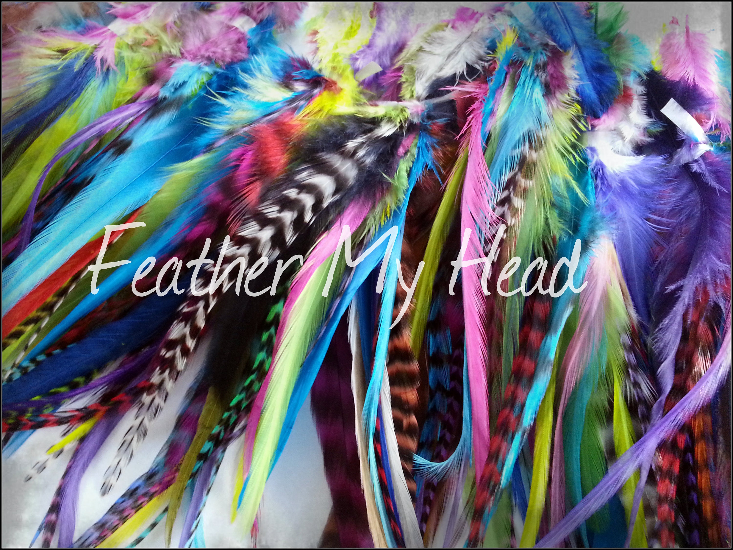 25 Feather Hair Extension DIY Kit with Beads, 1 Threader and Instructions. Surprise Mix of Natural Colored 8-12 Feather Extensions.