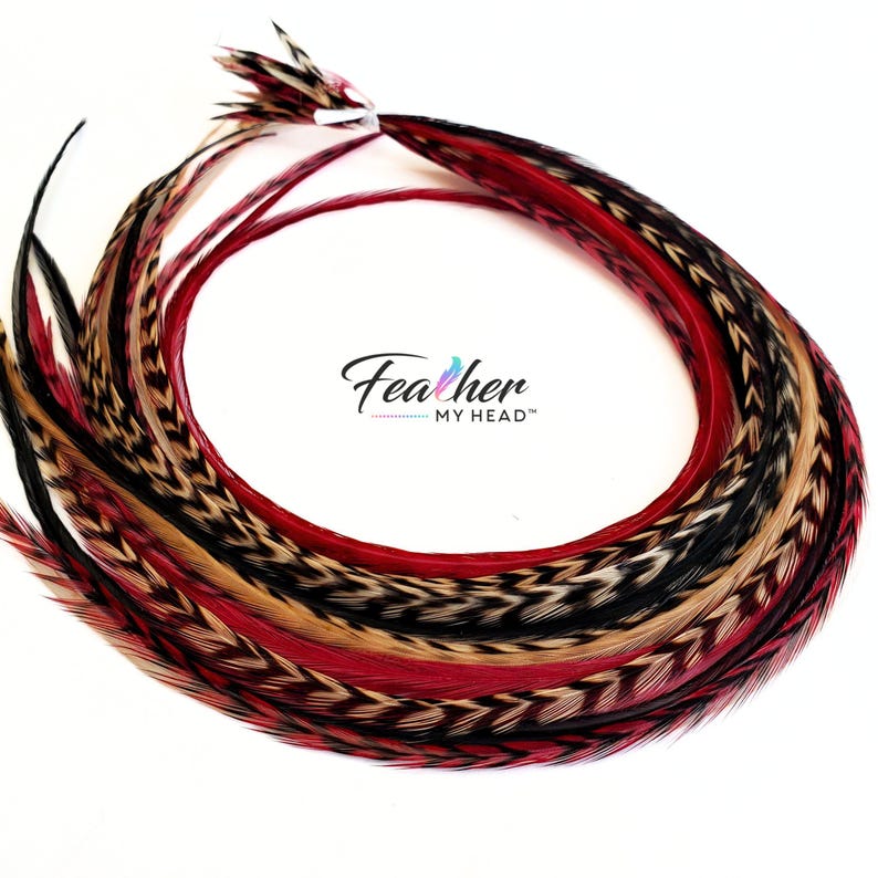 Feather Hair Extension Kit,  6 Real Feathers, Pick Your Length Short to Mega Long 16 In Hair Feathers, Optional DIY Kit, Sedona Mix